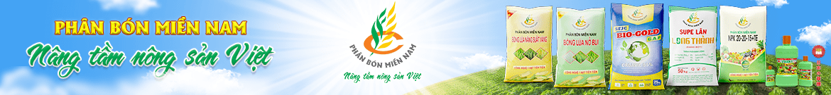phan-bon-mien-nam