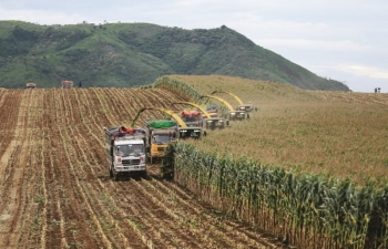 Nghệ An phát triển ngành nông nghiệp bền vững, từng bước thích ứng với biến đổi khí hậu