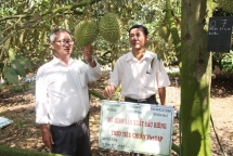 Đồng Nai: Xây dựng 99 điểm kinh doanh thực phẩm an toàn