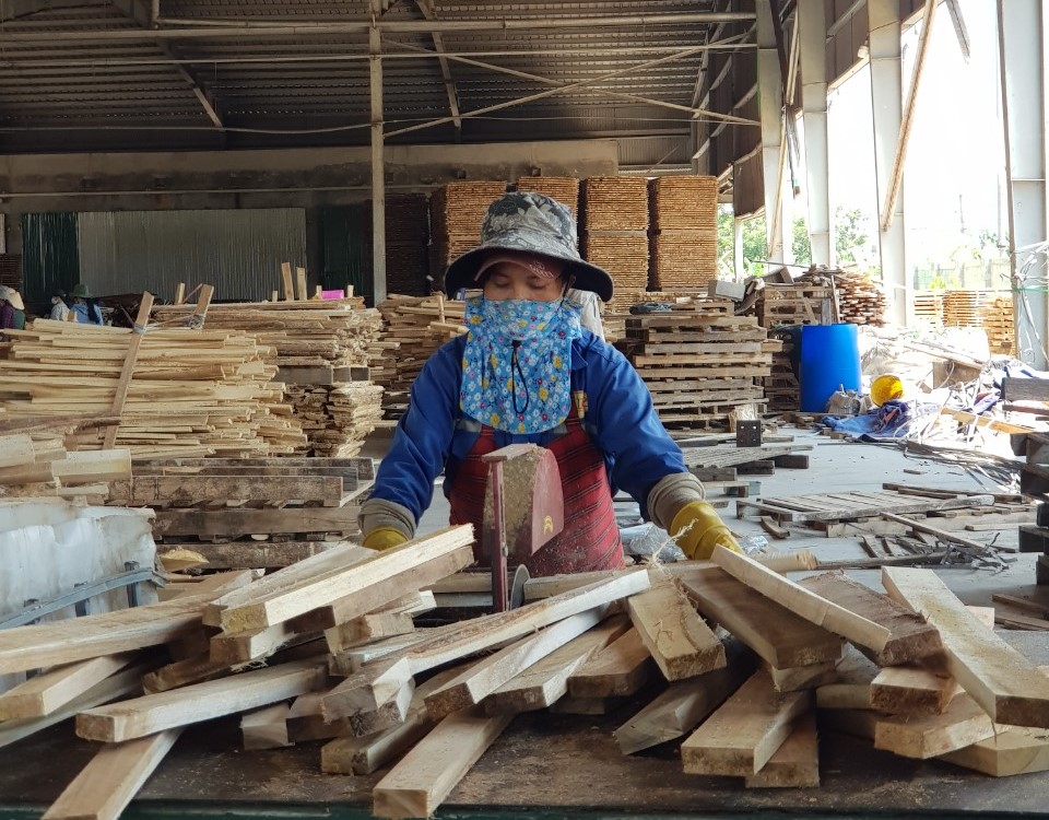 Sản xuất nông nghiệp đầu năm có nhiều tín hiệu tích cực - Ảnh: VGP/Đỗ Hương
