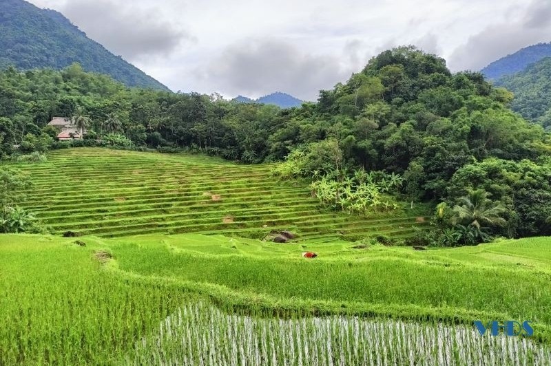 Nông nghiệp 