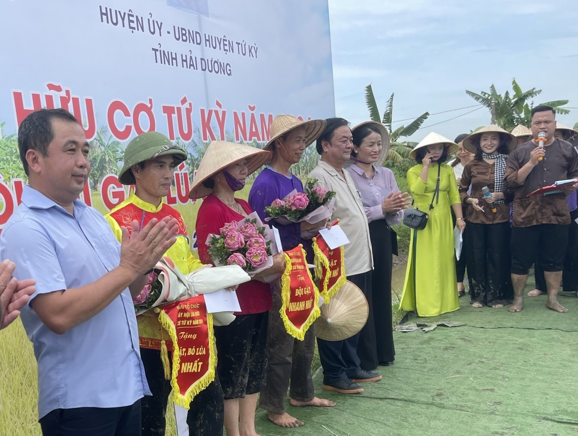 Độc đáo cuộc thi gặt tại ruộng lúa rươi hữu cơ Tứ Kỳ Độc đáo cuộc thi gặt tại ruộng lúa rươi hữu cơ Tứ Kỳ