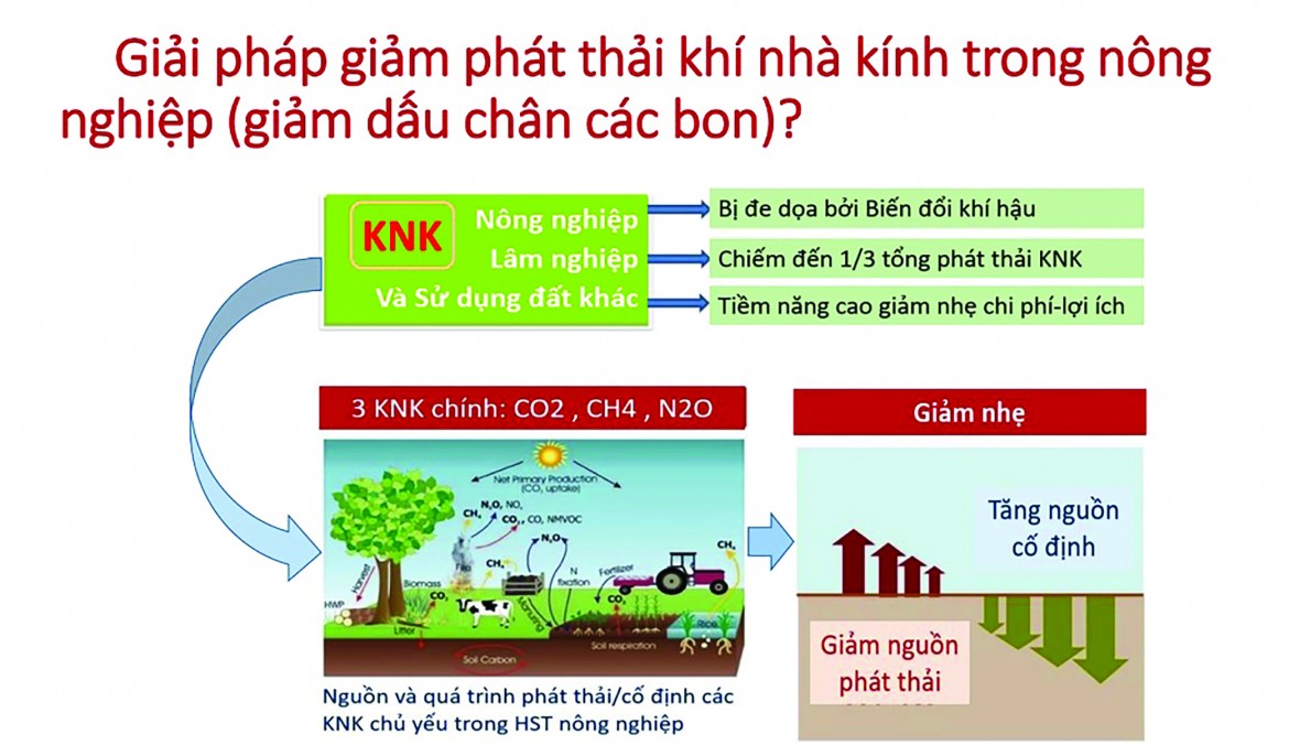 Đến năm 2050, Việt Nam cam kết đưa phát thải ròng khí nhà kính về Zero