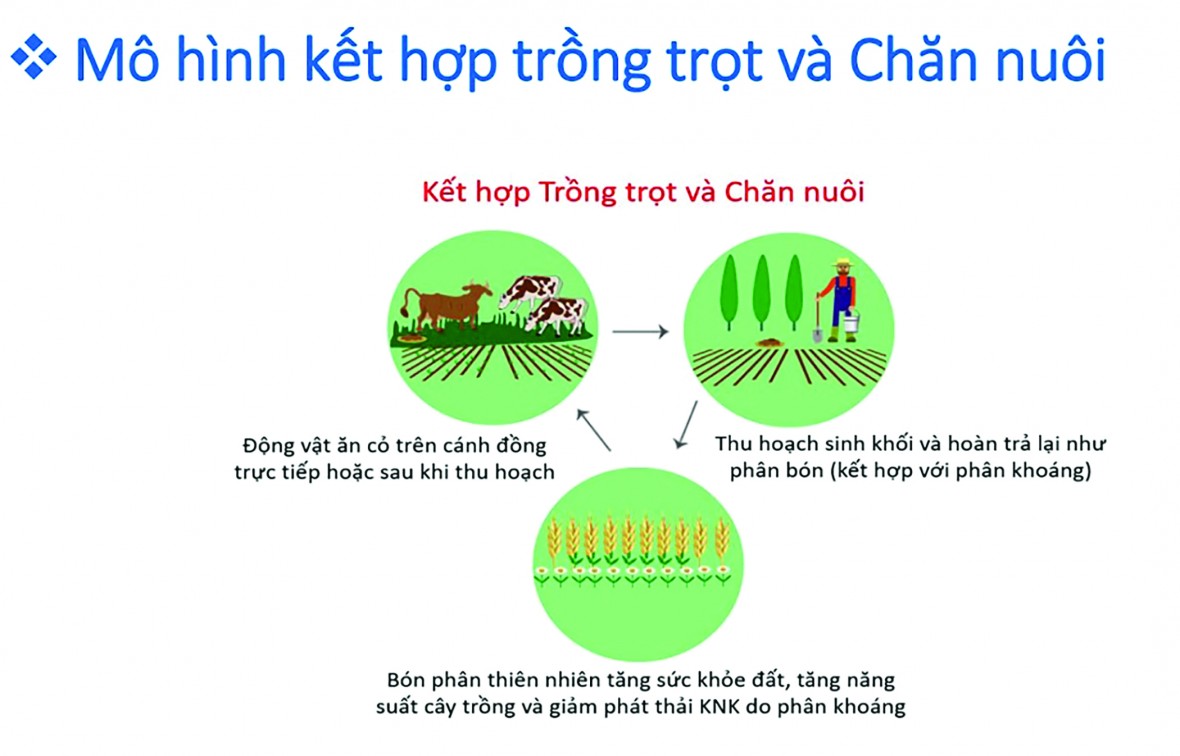 Đến năm 2050, Việt Nam cam kết đưa phát thải ròng khí nhà kính về Zero