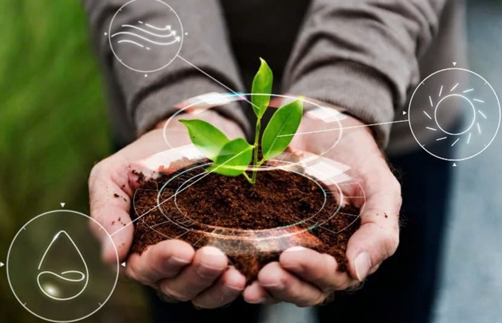 Nâng cao sức khỏe đất và quản lý dinh dưỡng cây trồng để nông nghiệp phát triển bền vững