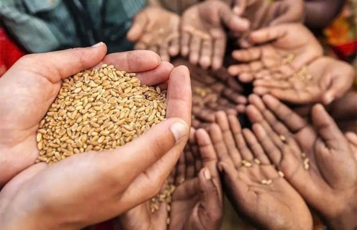 Ngày Lương thực Thế giới (16/10) năm nay lan tỏa thông điệp cần bảo đảm quyền tiếp cận lương thực thực phẩm phù hợp cho tất cả mọi người, thông qua chuyển đổi các hệ thống lương thực thực phẩm bền vững và công bằng - Ảnh minh họa. Ngày Lương thực Thế giới (16/10) năm nay lan tỏa thông điệp cần bảo đảm quyền tiếp cận lương thực thực phẩm phù hợp cho tất cả mọi người, thông qua chuyển đổi các hệ thống lương thực thực phẩm bền vững và công bằng - Ảnh minh họa.
