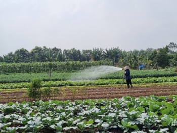 Phát triển nông nghiệp hữu cơ thúc đẩy tăng trưởng xanh