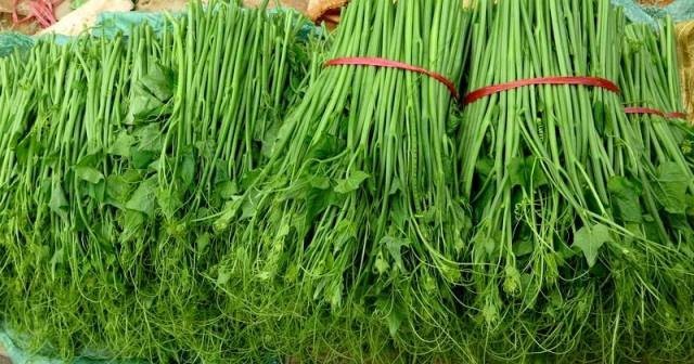 Rau, củ, quả Vĩnh Phúc rớt giá: Nông dân điêu đứng