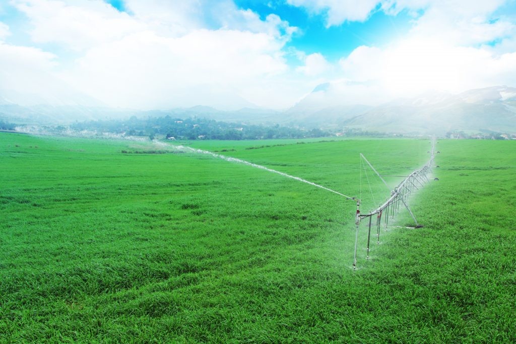 TH true milk: Nuôi bò sạch vì sức khỏe cộng đồng