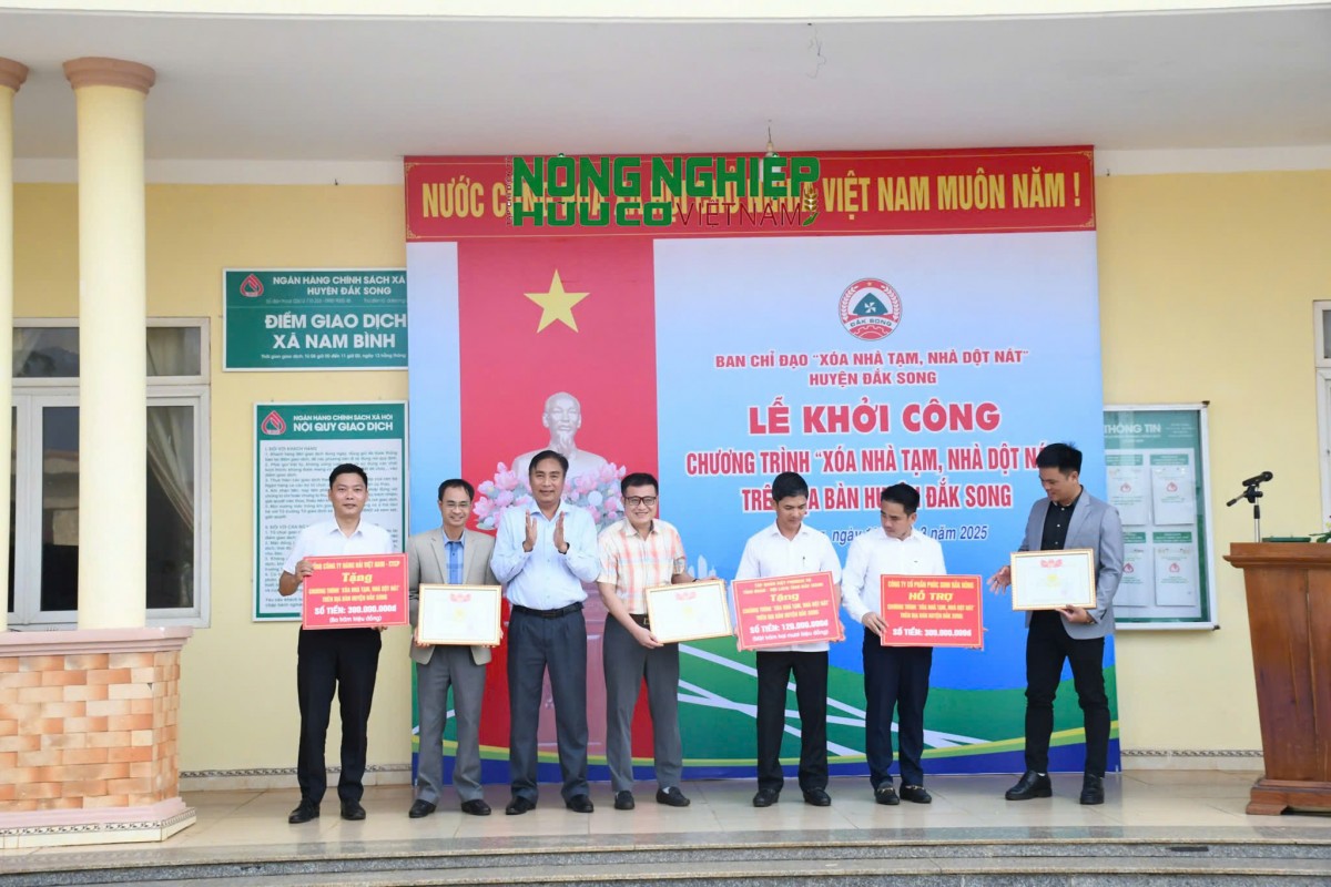 Đắk Nông: Huyện Đắk Song khởi công Chương trình xóa nhà tạm, nhà dột nát Đắk Nông: Huyện Đắk Song khởi công Chương trình xóa nhà tạm, nhà dột nát