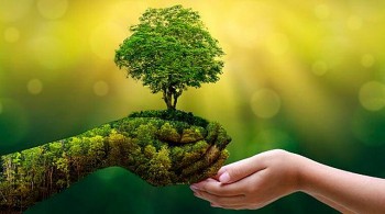 Chuyển đổi xanh - Chung tay vì một Việt Nam phát triển bền vững