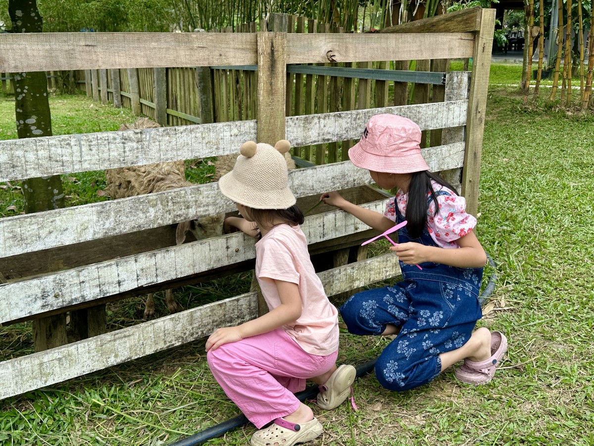 Hành trình xanh từ nông nghiệp hữu cơ đến du lịch trải nghiệm