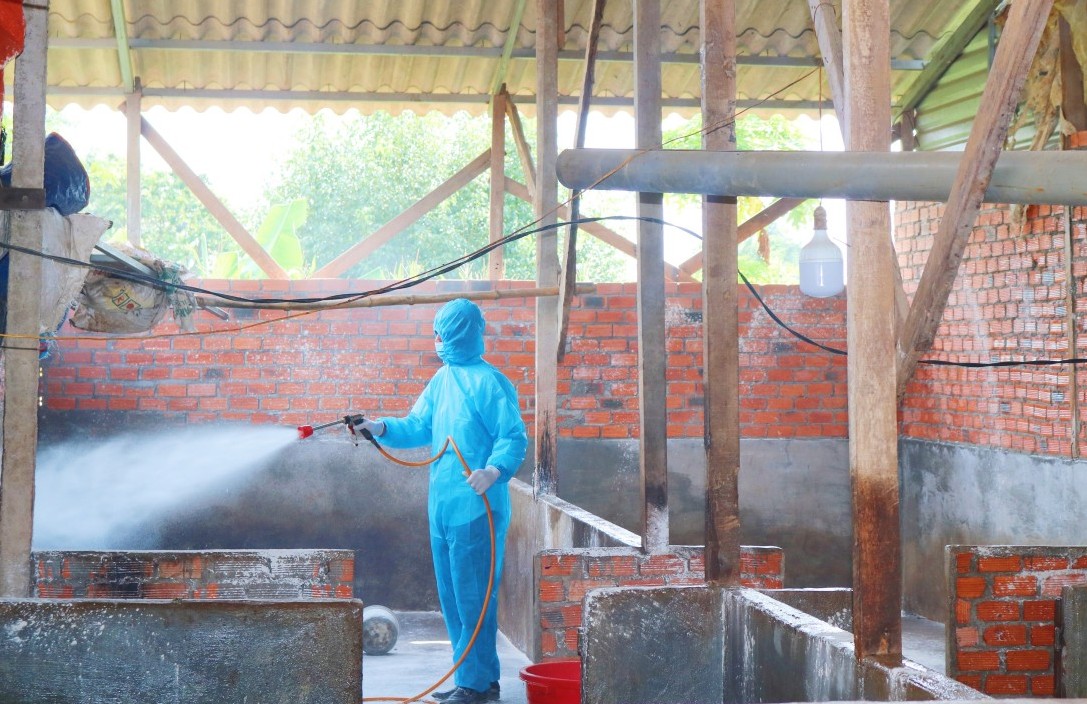 Đắk Lắk: Triển khai phòng chống dịch bệnh và tiêm phòng cho đàn vật nuôi