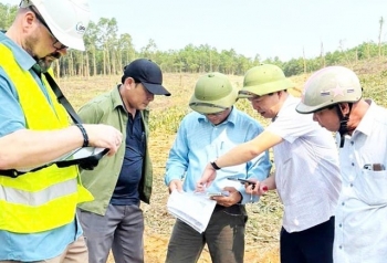 Quảng Bình: 3.700ha rừng trồng keo được đánh giá chứng chỉ quản lý rừng bền vững (FSC)