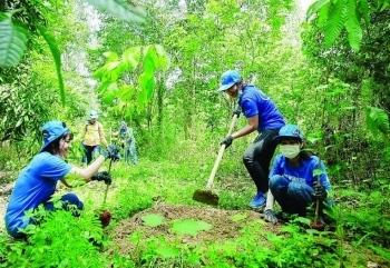 Phát triển thị trường tín chỉ carbon Việt Nam: Tiềm năng và Thách thức