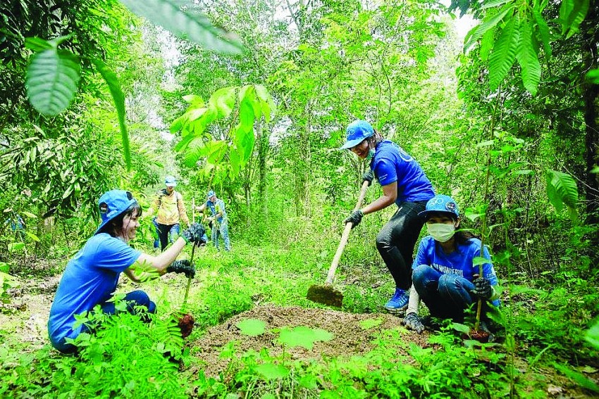 Phát triển thị trường tín chỉ carbon Việt Nam: Tiềm năng và Thách thức