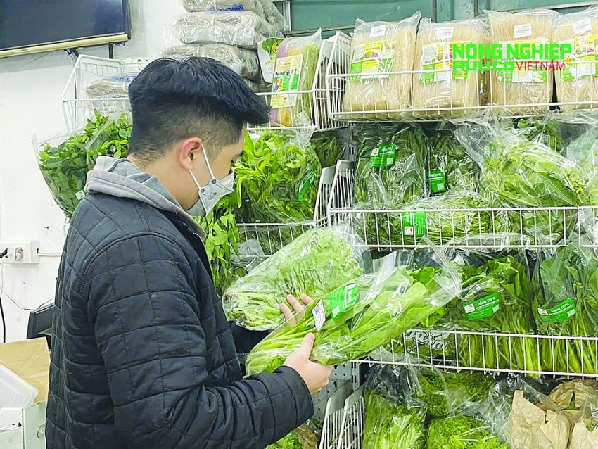 Sản phẩm nông nghiệp hữu cơ thích ứng thị trường