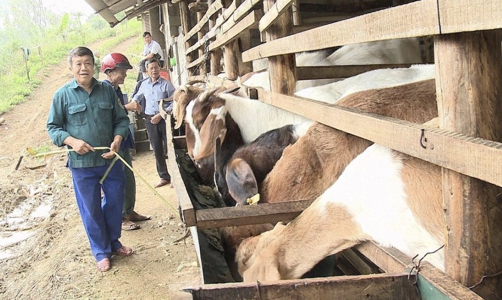 Quỹ hỗ trợ nông dân – Nguồn lực quan trọng thúc đẩy kinh tế nông thôn phát triển