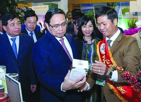 Công ty Vương Thành Công hành trình thành lập và phát triển thương hiệu cà phê hữu cơ