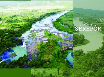 Yến sào Đắk Lắk đa dạng trong khâu chế biến thành phẩm