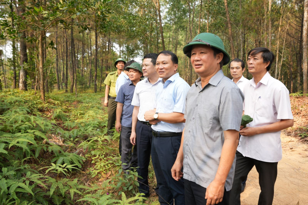 Huế đẩy mạnh phát triển nông nghiệp bền vững sau sáp nhập Sở