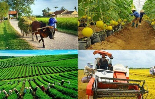 Vai trò và vị thế của nông dân trong HTX nông nghiệp đối với nền kinh tế