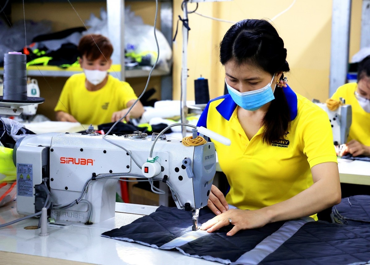 Đòn bẩy phát triển Nông nghiệp Hữu cơ và kinh tế tư nhân
