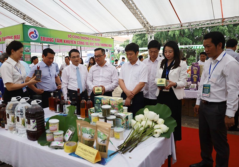Quảng Bình tổ chức hội nghị kết nối cung cầu các sản phẩm gắn với ứng dụng chuyển đổi số