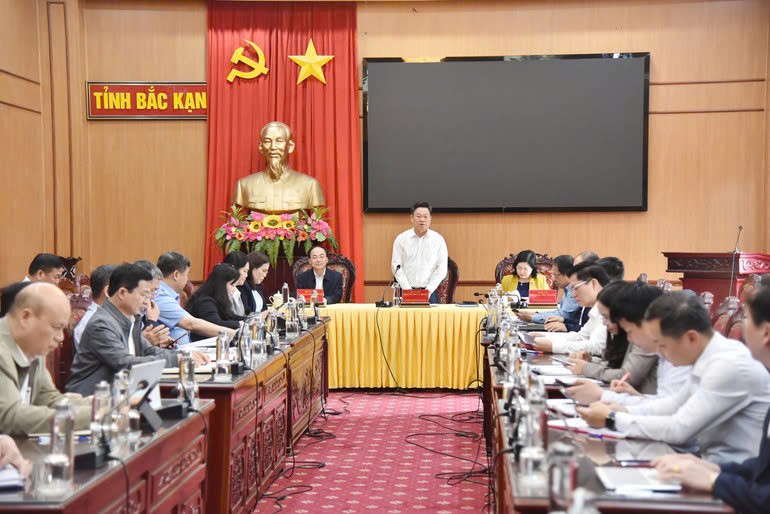 Bắc Kạn: Tiếp tục sắp xếp, nâng cao hiệu quả hoạt động của công ty nông, lâm nghiệp