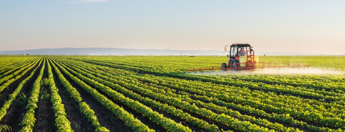 Thực hành Nông nghiệp Tốt Toàn cầu GLOBALG.A.P.