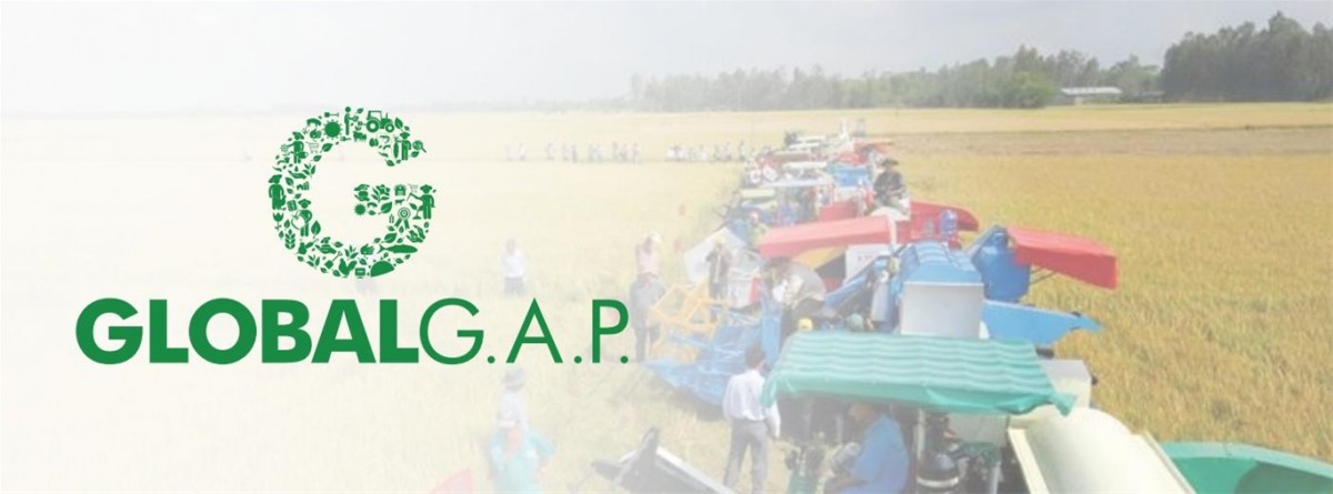 Thực hành Nông nghiệp Tốt Toàn cầu GLOBALG.A.P.