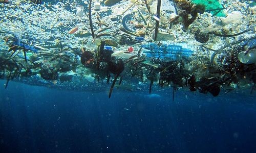 Vi nhựa dưới đáy biển - Mối nguy tiềm ẩn và hiểm họa lâu dài