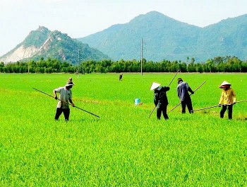 Chính sách đất đai giữ vai trò quan trọng trong việc định hướng và thúc đẩy nông nghiệp bền vững