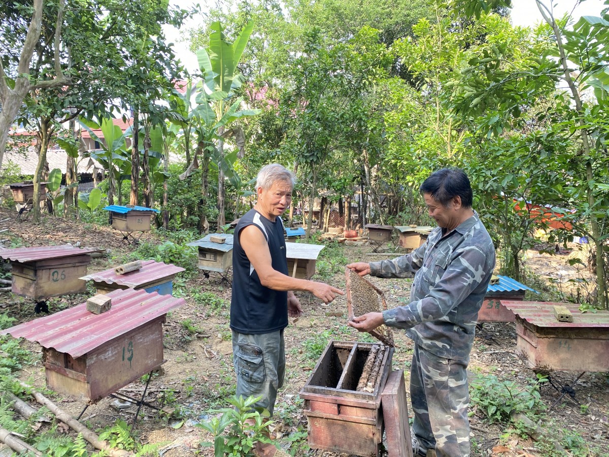 OCOP – Nâng tầm sản phẩm, kết nối thị trường