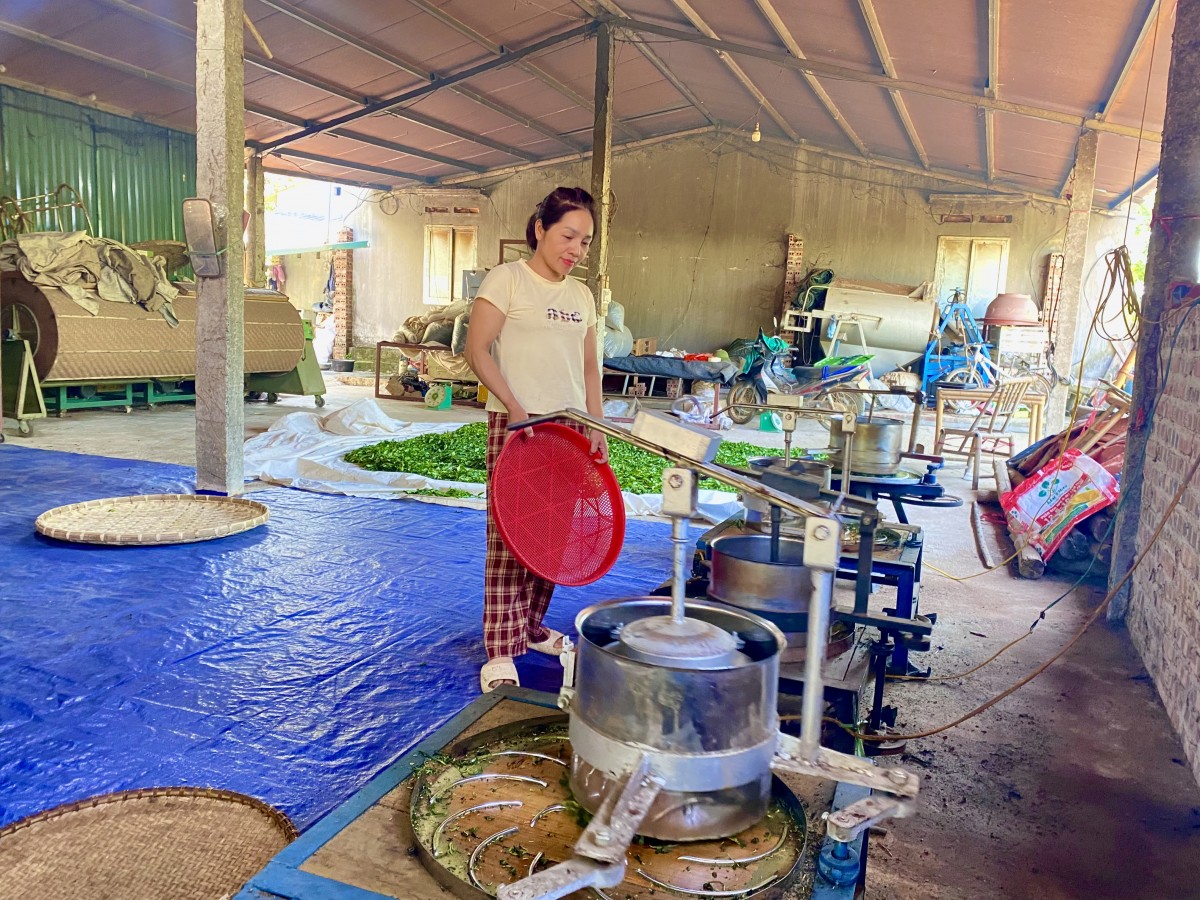 OCOP – Nâng tầm sản phẩm, kết nối thị trường