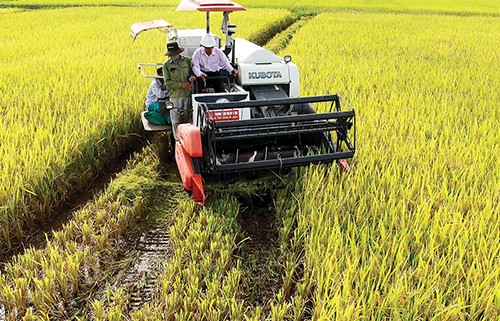 Tiếp cận công nghệ mới: Chìa khóa phát triển nông nghiệp bền vững