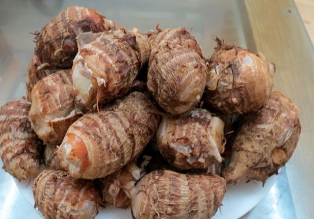 Cây trồng chủ lực giúp xã nghèo nhất Yên Bái vươn lên thoát nghèo