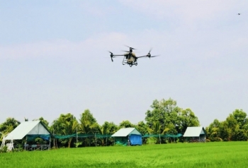 Động lực mới cho tăng trưởng nông nghiệp Việt Nam