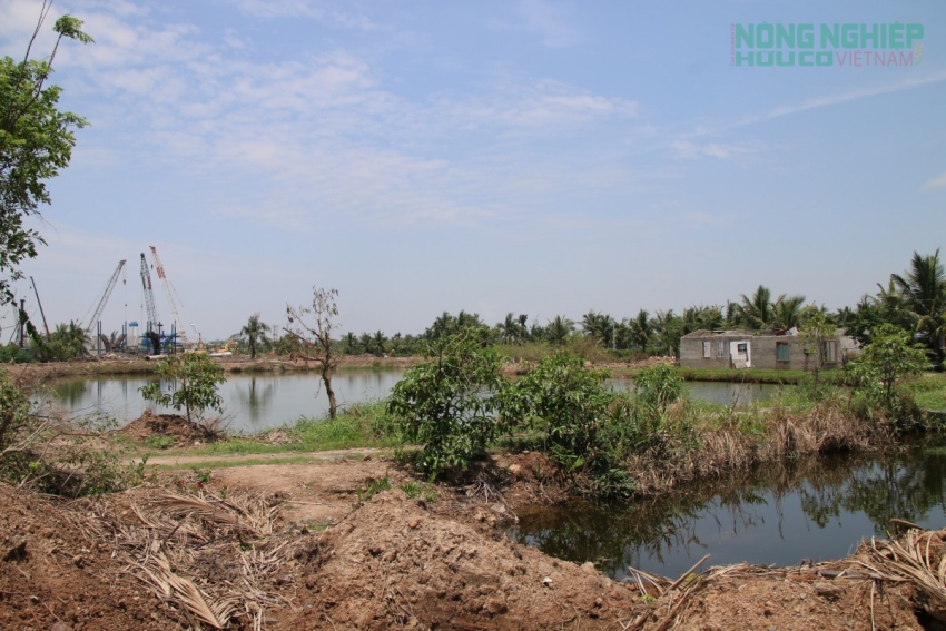 Dự án đường Vành đai 2 ở Hải Phòng: Cần xem xét lại chính sách bồi thường đất nông nghiệp