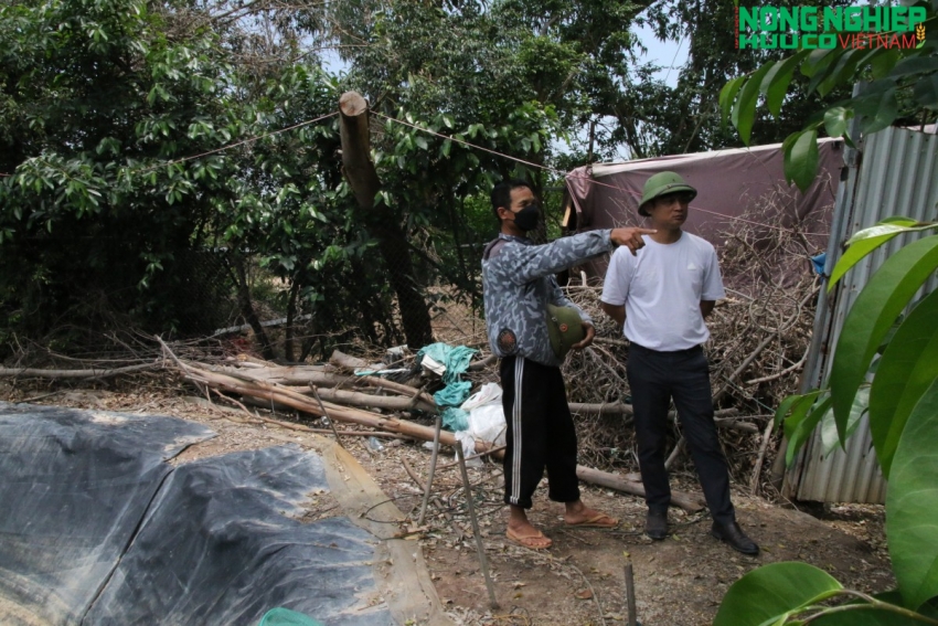 Dự án đường Vành đai 2 ở Hải Phòng: Cần xem xét lại chính sách bồi thường đất nông nghiệp