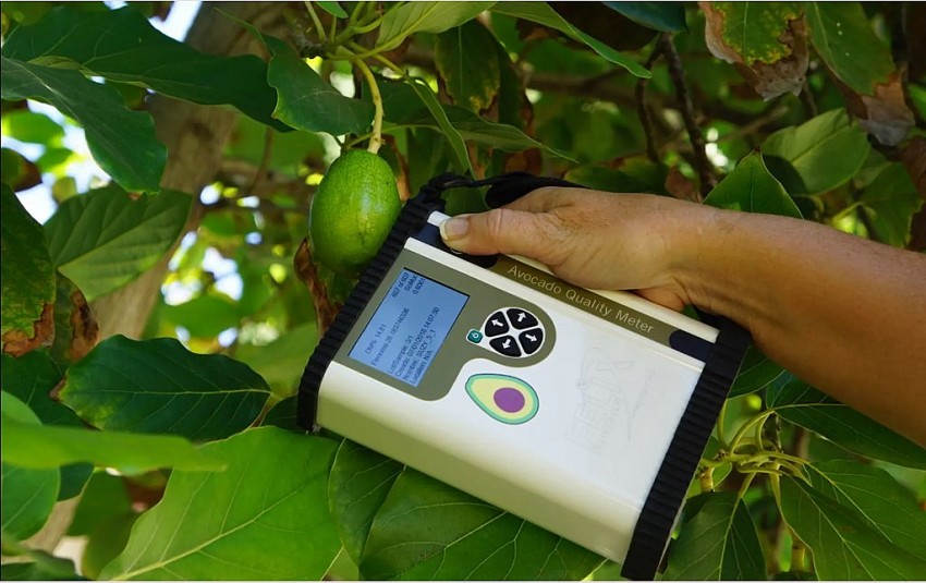 Phân tích đất bằng Quang phổ cận hồng ngoại (NIRS): Ứng dụng và tiềm năng trong nông nghiệp
