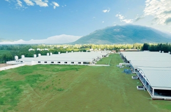 Bình Định: Chỉ đạo tăng cường phát triển Khu chăn nuôi tập trung Nhơn Tân