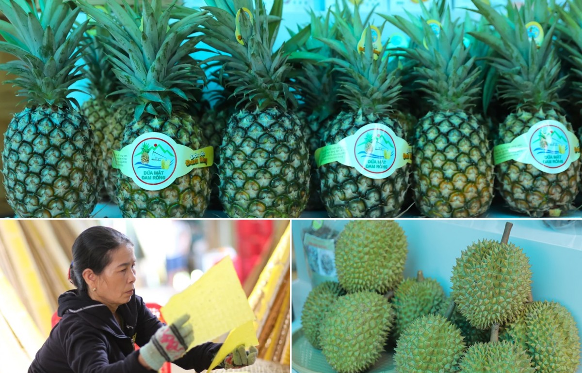 Đam Rông đẩy mạnh kết nối tiêu thụ sản phẩm mang nhãn hiệu chứng nhận