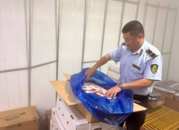 Đắk Lắk: Tạm giữ hơn 500kg thực phẩm đông lạnh không rõ nguồn gốc, xuất xứ