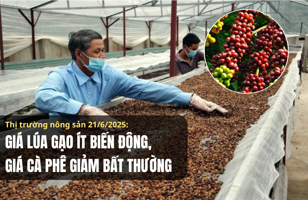 TRUNG TÂM TRUYỀN HÌNH VIỆT- ĐỨC GẶP MẶT- GIAO LƯU  KỶ NIỆM 100 NĂM NGÀY BÁO CHÍ CÁCH MẠNG VIỆT NAM