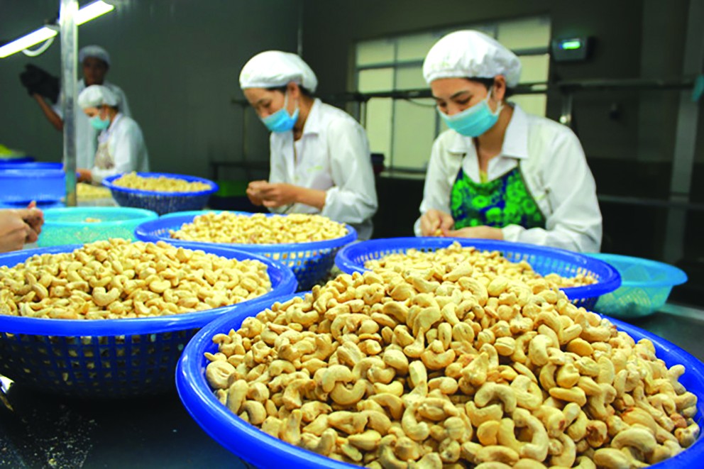 Nông nghiệp hữu cơ Việt Nam trên hành trình hội nhập quốc tế