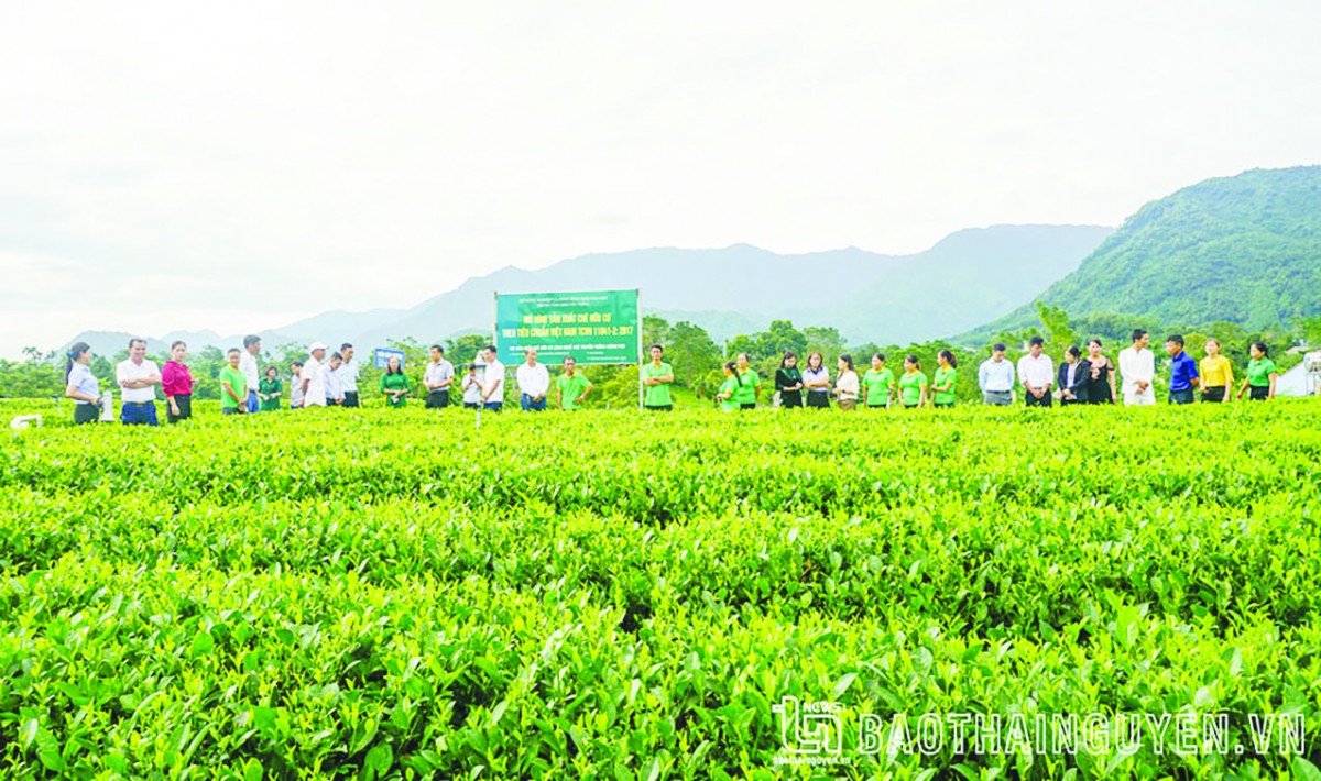 Truyền thông đóng vai trò then chốt thúc đẩy phát triển nông nghiệp hữu cơ