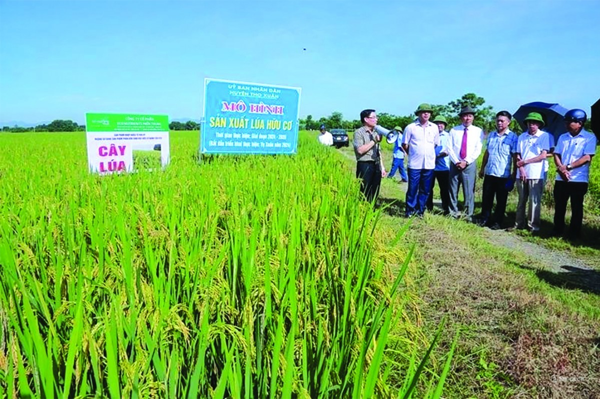 Truyền thông về phát triển nông nghiệp hữu cơ dấu ấn và tiếng gọi trưởng thành