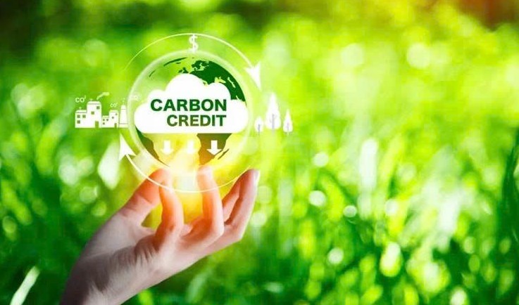 Đẩy mạnh hợp tác về ứng phó biến đổi khí hậu và bảo vệ tầng ozone