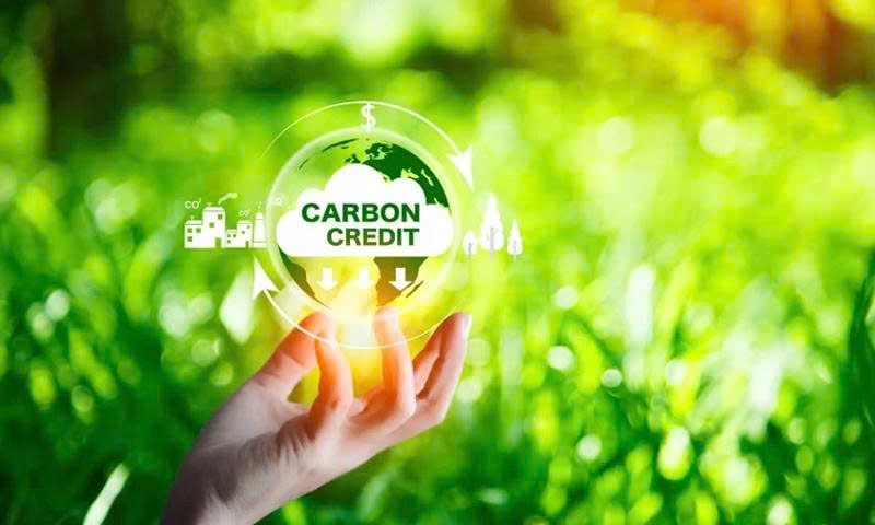 Đẩy mạnh hợp tác giữa Cục Biến đổi khí hậu và Văn phòng dịch vụ dự án Liên hợp quốc về ứng phó biến đổi khí hậu và bảo vệ tầng ô-dôn